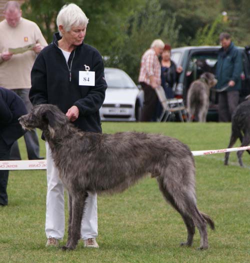 dambuster